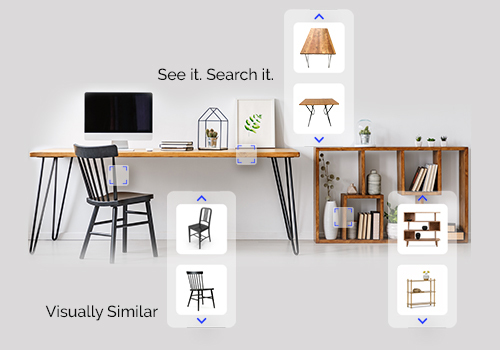 Visual Search and Recommendations