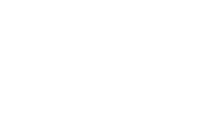 ViSenze-Rezolve-AI-Company